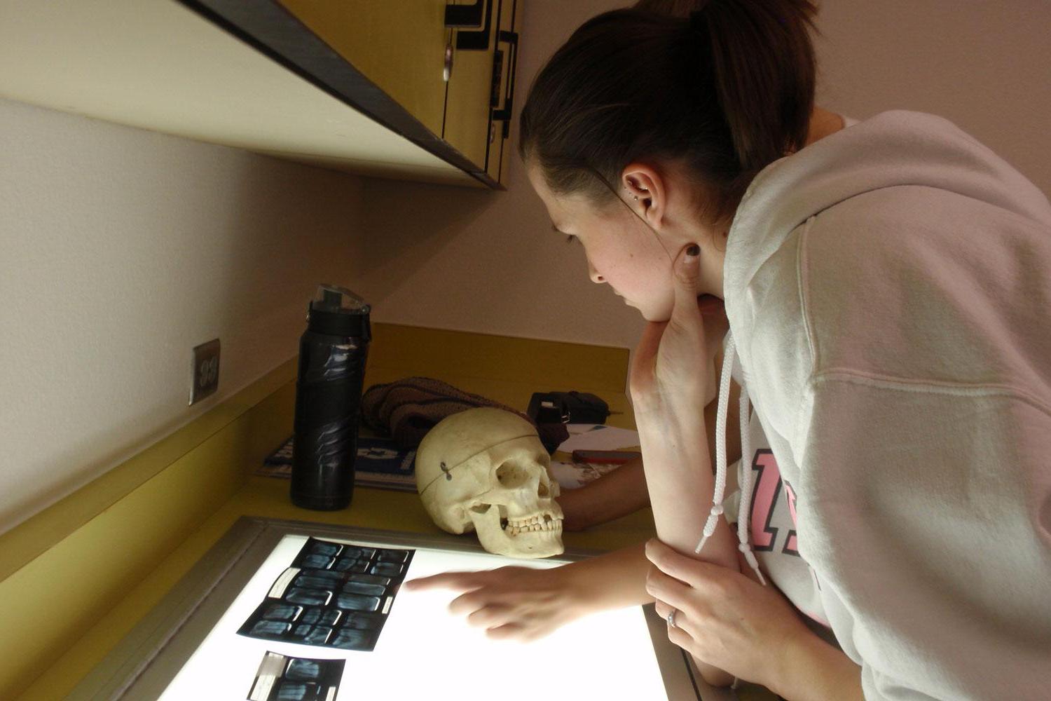 法医人类学 student Nicole Arizmendi identifies a human skeleton by matching it to its dental records.